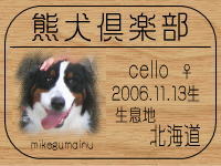 noko����̂a�k�n�f�ւf�n�I